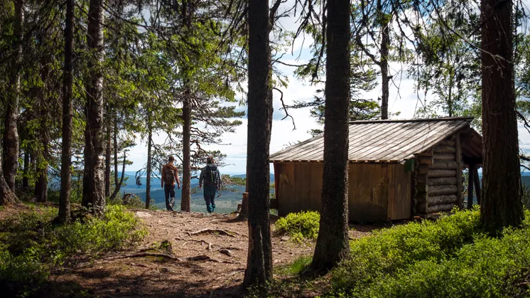 Bilden visar två vandrare som promenerar på en stig i en skog.