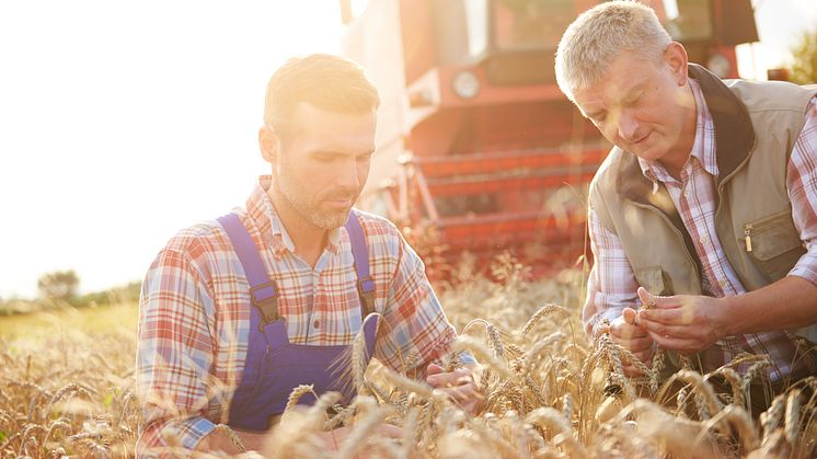 “Sustainable Futures”, de Mondelēz International, invierte en la plataforma europea de agricultura regenerativa eAgronom