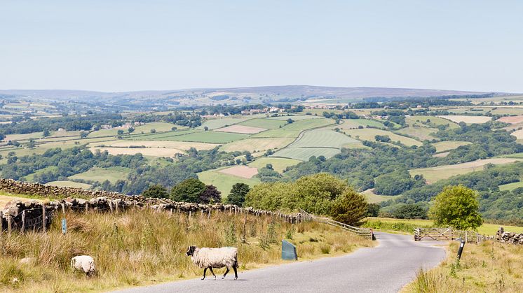 Stay Safe on Britain’s Scenic Routes: Essential Tips for Motorcycle Riders 