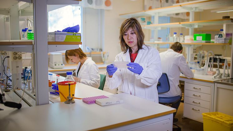 Discovery may open new way to attack prostate cancer