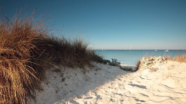 Strand med finkornig sand och segelbåtar i horisonten.