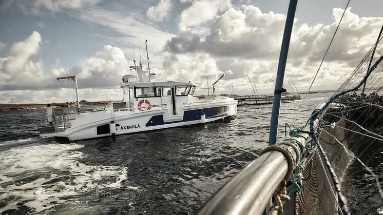 Åkerblå har solgt sine båter til Norms, og det Narvik-baserte selskapet skal heretter tilby fartøy til Åkerblås virksomhet fra Rogaland til Finnmark. FOTO: Åkerblå