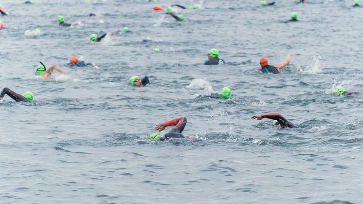 Lighthouseswim 2024 (c) Anika Bruns, Kiel-Marketing e.V..jpg