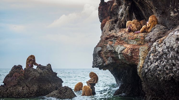 Tori Wrånes, NAAM YAI. Foto: Thailands biennales fotografer, bilden är beskuren