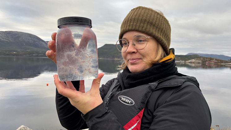Sanna Majaneva fra Akvaplan-niva med prøver av perlesnormanet (Foto: Ragnhild Pettersen/Akvaplan-niva).