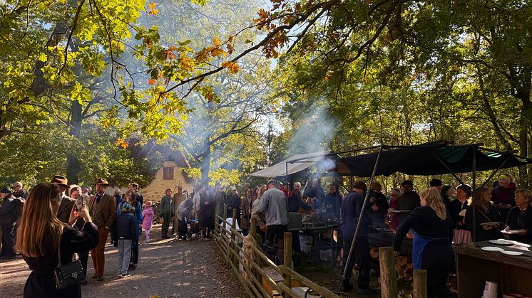 Kungliga Djurgården i topp – återigen prisad internationellt för hållbarhetsarbete