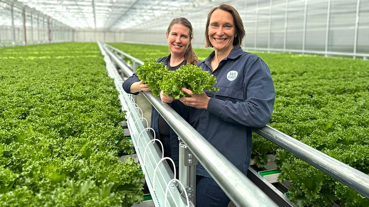 Kristin Orrestig och Lisa Lindström i det nya sallatsväxthuset