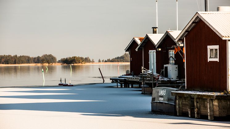 Fotograf: Linnea Gustavsson