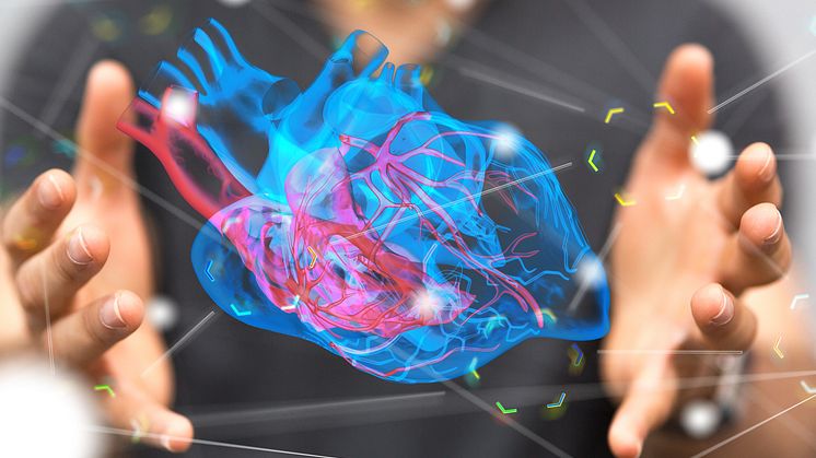 Mit ihrer Arbeit leisten die Leipziger Forscher zur 3D-Herz-MRT-Diagnostik bei Patient:innen nach Fallot-Korrektur einen wichtigen Beitrag zur Prävention des plötzlichen Herztods als Folge gefährlicher Rhythmusstörungen (Foto: Adobe Stock)