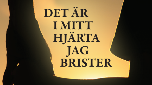 Maja Larssons debut skildrar sorgen efter att förlora ett barn