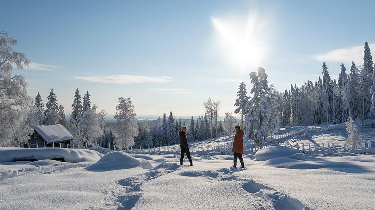 Ett av Dalarnas många besöksmål, Ärteråsens fäbodar i Rättviks kommun. Foto: Anna Holm, Visit Dalarna.