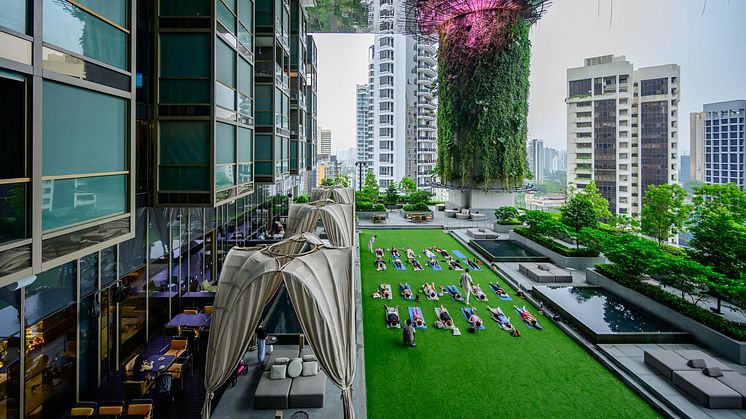 Pan Pacific Orchard x Foster the Love Wellness Programming 2025.jpg
