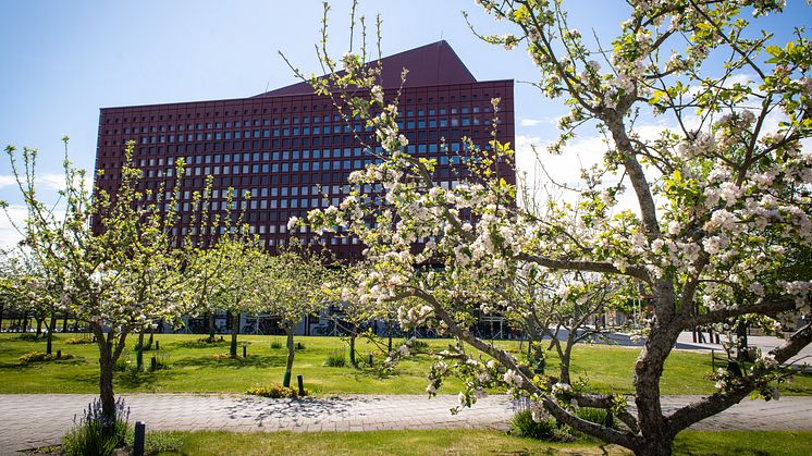 Studenthuset vid Campus Valla, Linköpings universitet, står redo för universitetets 50-årsfirande. Foto: Magnus Johansson/Linköpings universitet