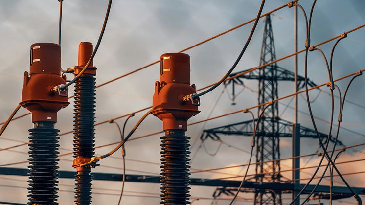 SF₆ Gas and the Power Grid: Sustainable Management for the Future