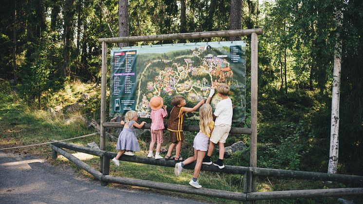 Kolmården sommar.jpg
