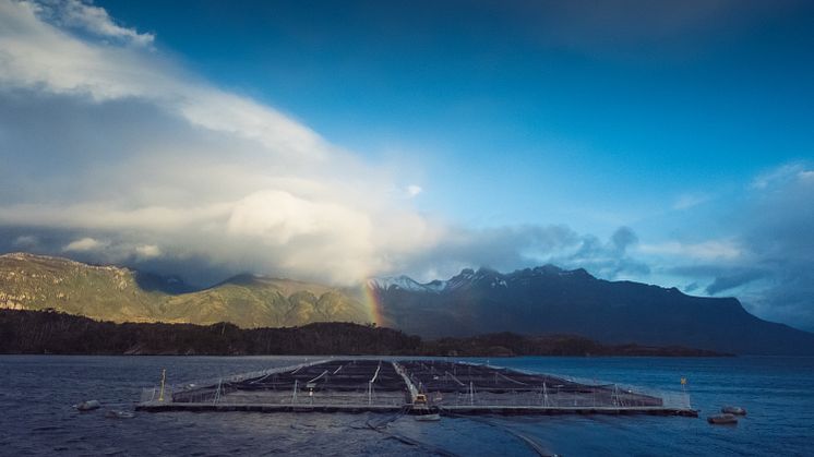 The announcement contributes to a growing uncertainty in international investment in British Columbia and Canada, says CEO Steven Raffery 