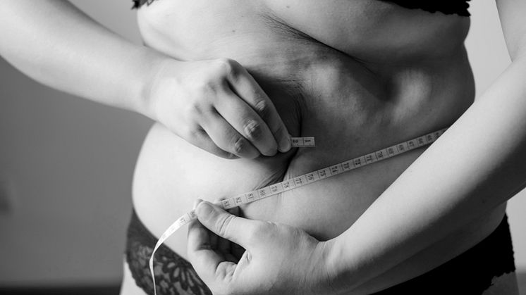 Vevil.se – Ny onlineklinik för medicinsk viktminskning kommer till Sverige