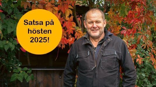 John Taylor - ambassadör för Stora Planteringsveckan 6-14 september