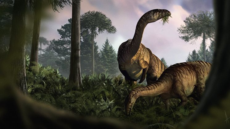En duo av sauropodomorfer i tidig jura. Illustration: Marcin Ambrozik.