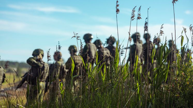 Uppställda soldater på en äng.  Fotograf: Joel Thungren / Försvarsmakten