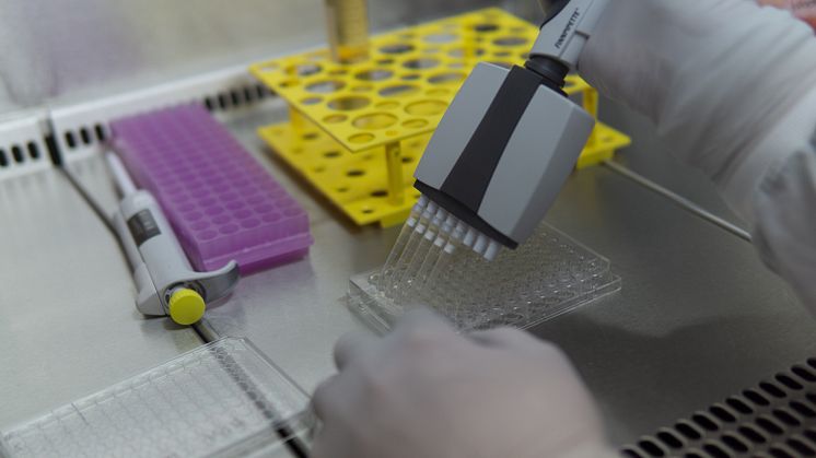 Inom precisionsmedicinområdet används AI och stora mängder data för att skräddarsy en behandling för individen.