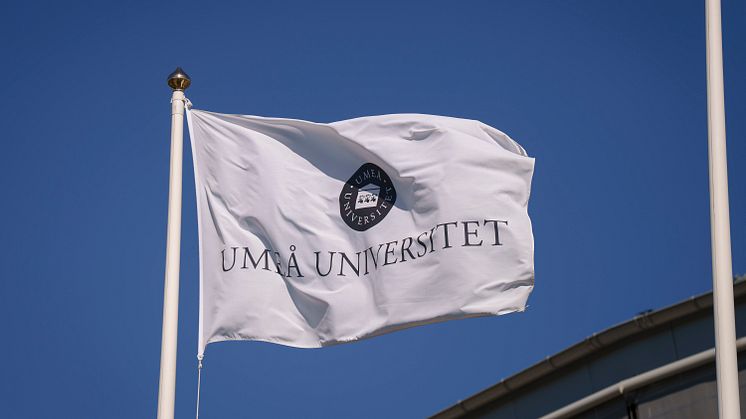 Den 7 maj samlas beslutsfattare, forskare och internationella arktiska aktörer i Umeå för det största arktiska högnivåmötet som hållits på svensk mark på senare år.