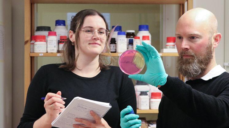 Rachel Feeney, PhD Student, and Björn Schröder, Docent in infection biology, the Department of Molecular Biology at Umeå University. Photo: Anna Shevtsova