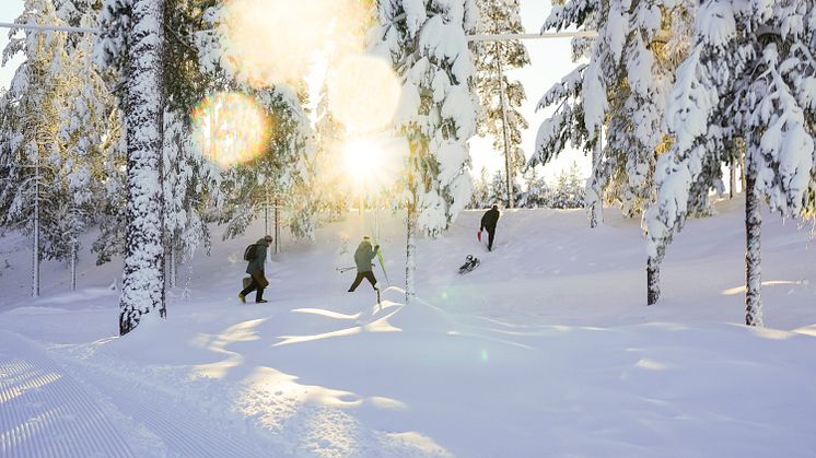 Dalarna-Vinter-Sportlov.jpg