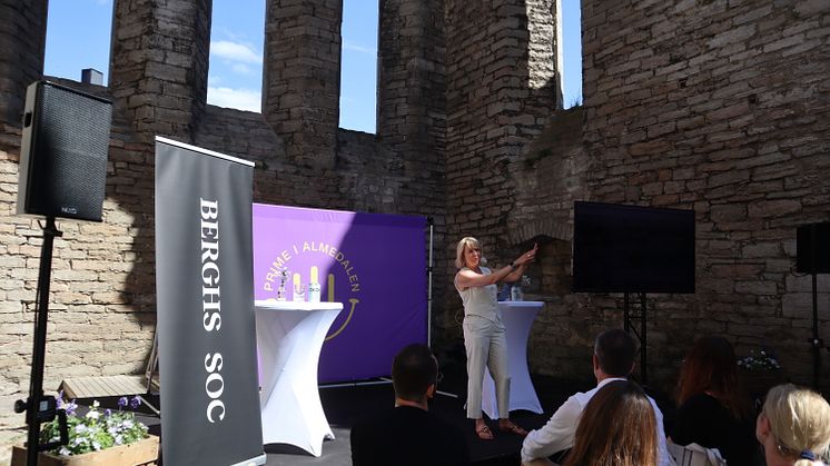Almedalen24.JPG