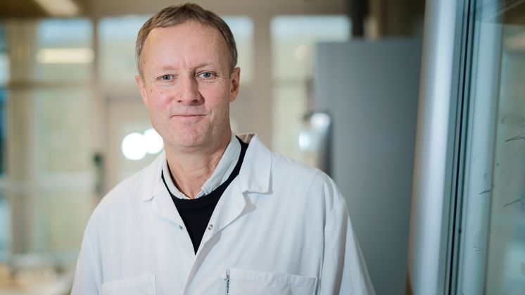Professor Börje Sellergren kommer att koordinera 13 doktorander fördelade hos elva partner (lärosäten och företag) ute i Europa samt ett i Sydafrika.
