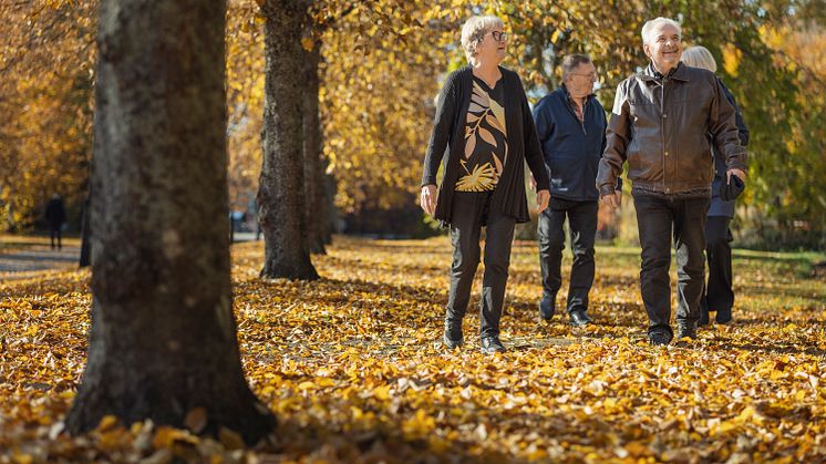 Seniorer på promenad en fin höstdag.