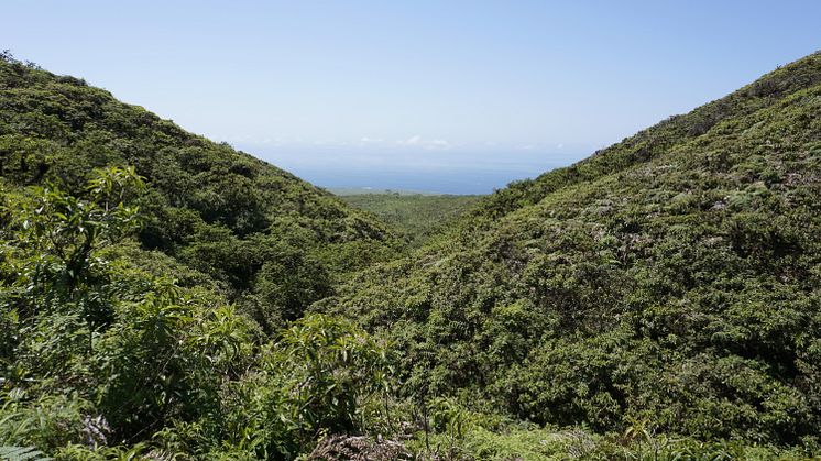 Galapagos reserve landscape - San Cristóbal Island - Fundación Jocotoco.jpg