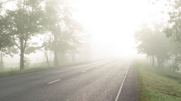 Stay Safe on the Roads: Essential Tips for Driving and Riding in Late Autumn Weather 