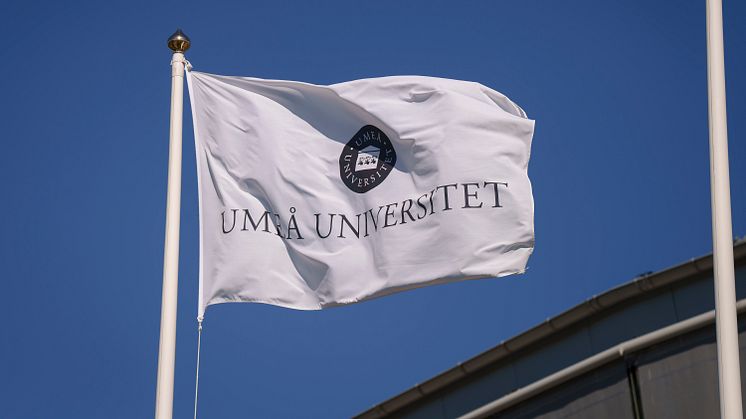 Den 7 maj samlas beslutsfattare, forskare och internationella arktiska aktörer i Umeå för det största arktiska högnivåmötet som hållits på svensk mark på senare år.