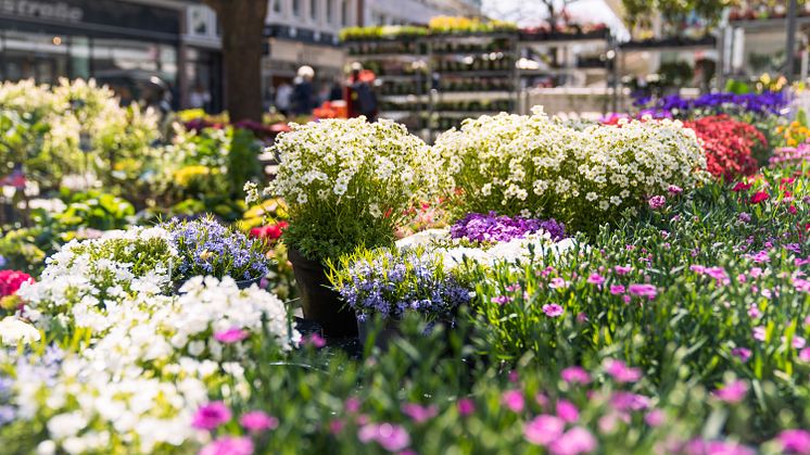 ﻿Bei der stadtweiten Sonntagsöffnung am 27. April 2025 haben der CITTI-PARK und Ikea nicht geöffnet.