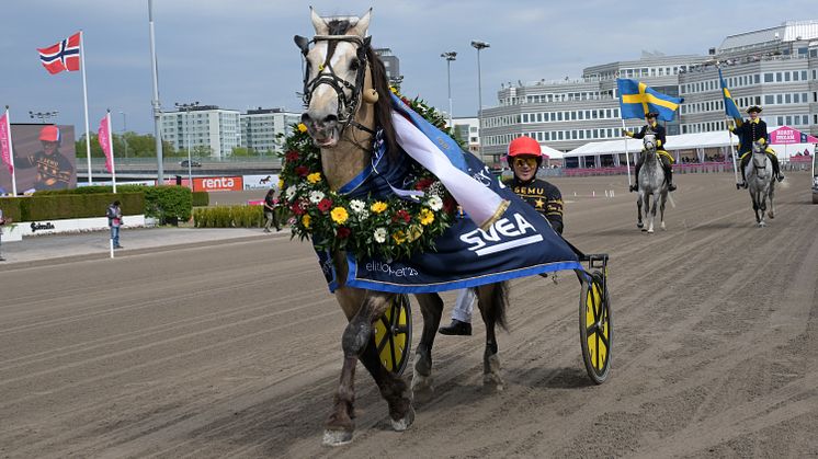 Tangen Bork med kusken Tom Erik Solberg vann Elitkampen 2025. Foto:TR Bild