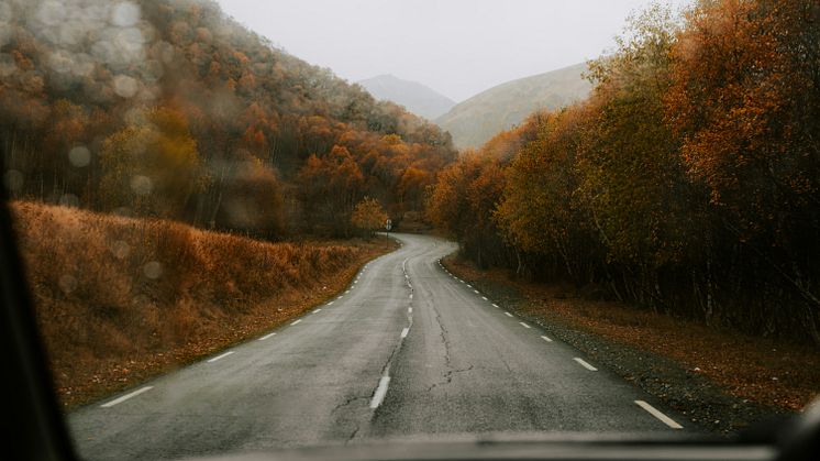 kateryna-hliznitsova-wdCy3x2T0Eg-unsplash.jpg