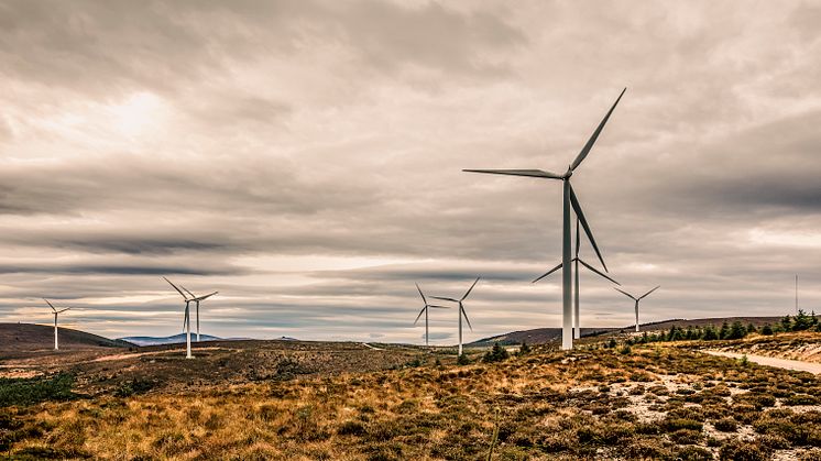 Proposed wind farm could help power Tomatin Distillery 