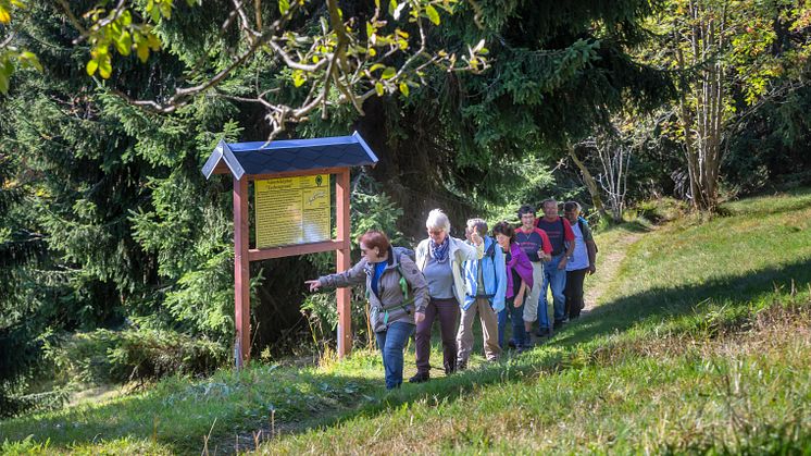 Wanderung_Wanderwochen_Gruppe_Oberwiesenthal Foto_TVE_UweMeinhold07.jpg