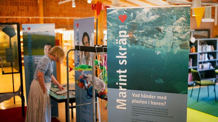 Vandrarutställningen I love Östersjön finns på Sölvesborgs bibliotek till 28 maj. Foto: Sölvesborgs kommun