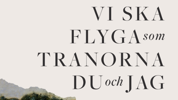 Stockholm på 1500-talet i Jon Kahns historiska roman "Vi ska flyga som tranorna du och jag" 