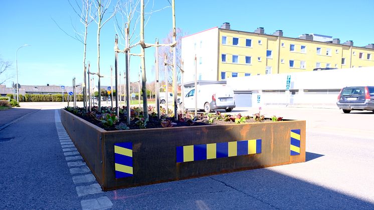 Ängelholmshem satsar på grönare stadsmiljö med innovativt trädprojekt
