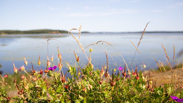 Ölmeviken. Foto: Kristinehamns kommun. 