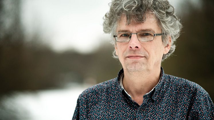 Byråkratin har växt för mycket i förhållande till kärnverksamheten och det är för många organisationer som utför offentlig verksamhet, menar forskaren Patrik Hall som tror det är nödvändigt att slå ihop kommuner.
