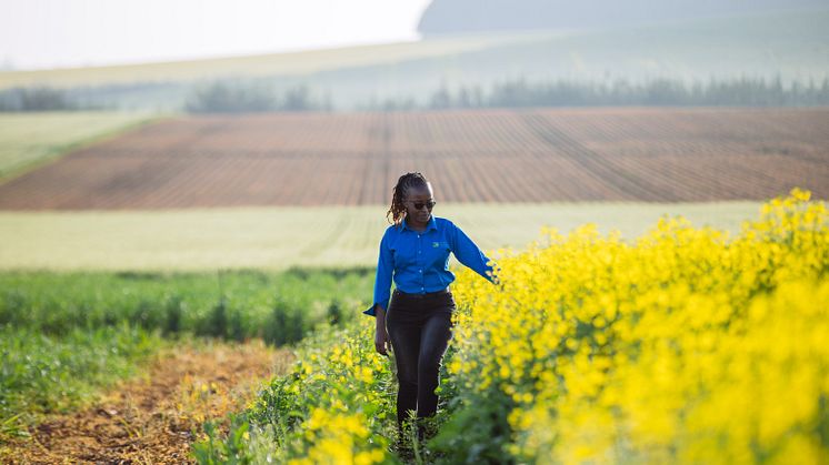 Photo: Agventure / Peter Irungu