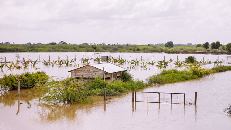 Översvämningarna som framkallas av El Nino i områdena Garissa och Tana River i norra Kenya fortsätter att driva familjer på flykt och orsaka förstörelse för människors fastigheter och infrastruktur. Foto: Peter Irungu/Oxfam