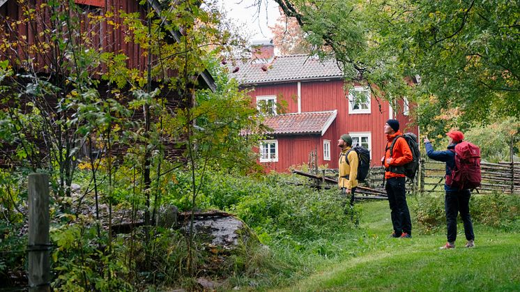 Vandring är populärt bland tyska turister och allt fler kan tänka sig att komma på hösten. Här på Utvandrarleden. Foto: Erik Solie