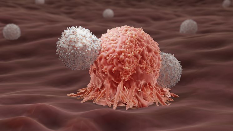 Barncancerfonden tar plats i ATMP Swedens styrelse