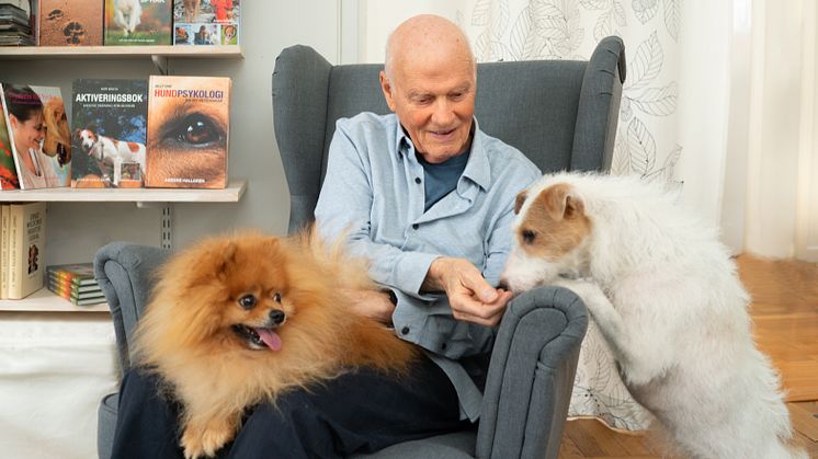 Internationellt erkända Anders Hallgren firar 50-årsjubileum som hundpsykolog!