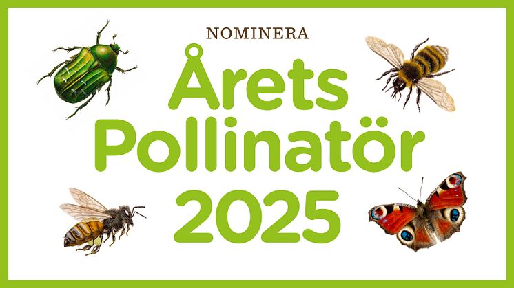 Utmärkelsen Årets Pollinatör har delats ut av Pollinera Sverige sedan 2018.